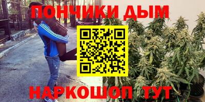 дмт Гай